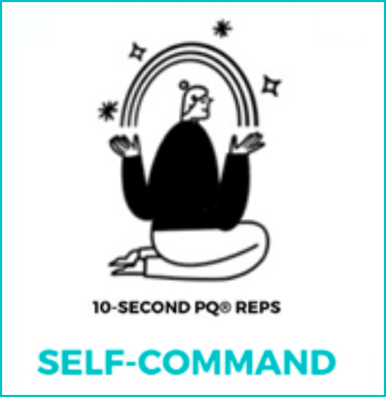 PQ - Self Command