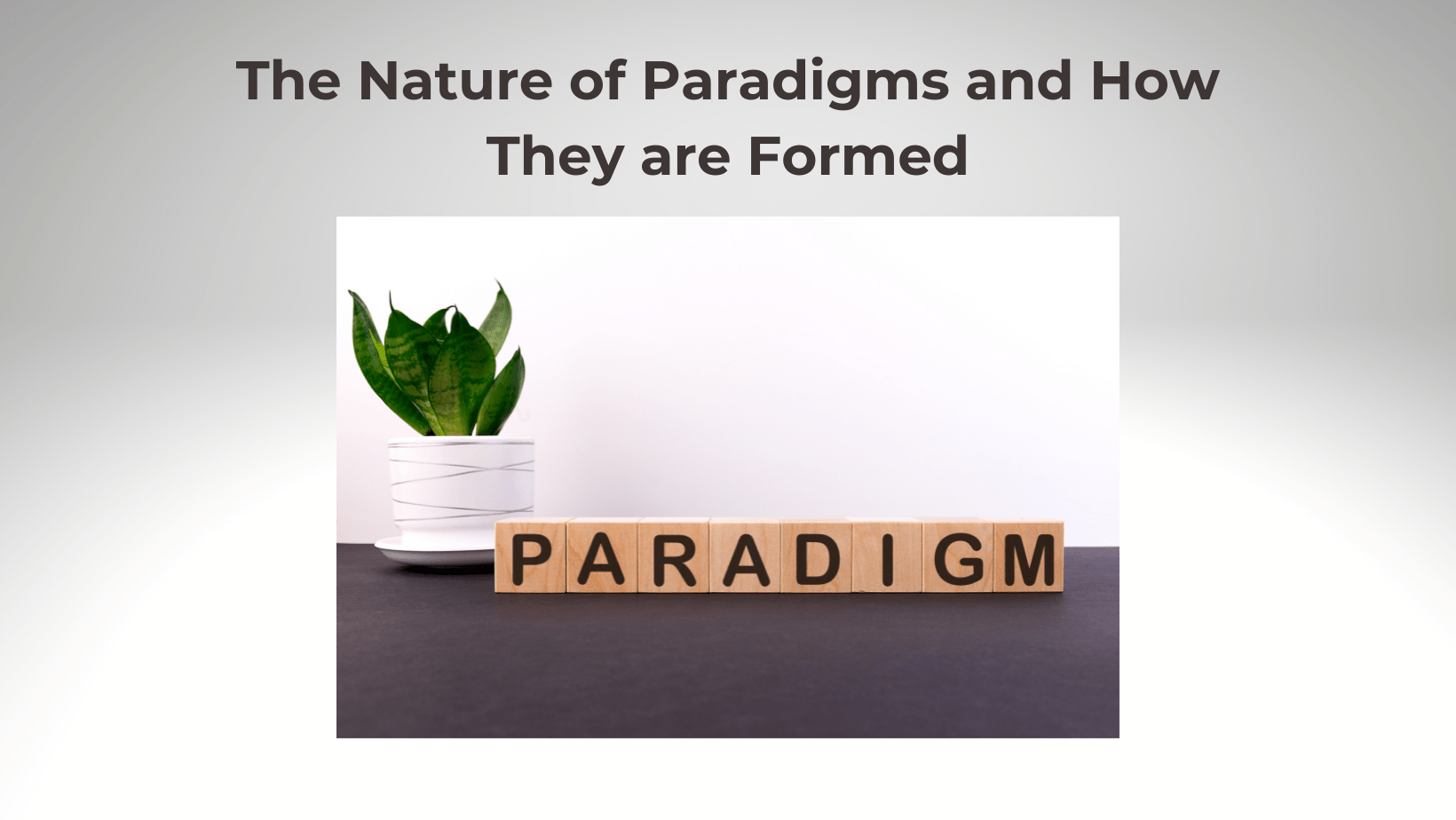 THE NATURE OF PARADIGMS AND HOW THEY ARE FORMED