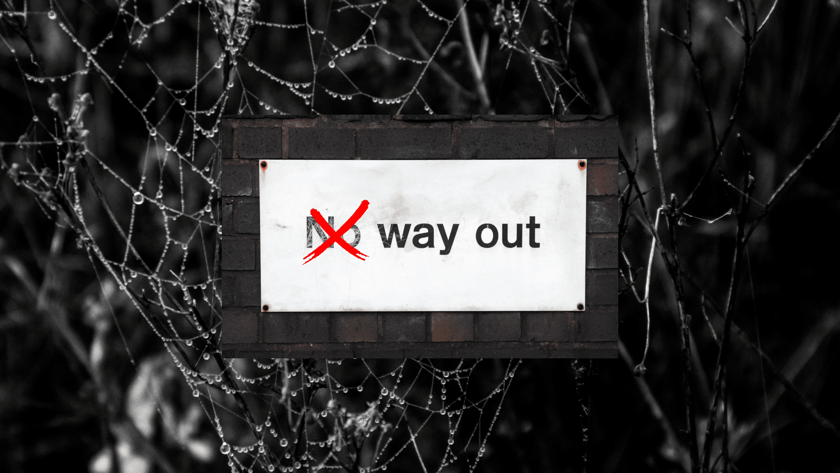 WHEN DIVORCE HAPPENS—THERE IS A WAY OUT!  PART 2 OF 2