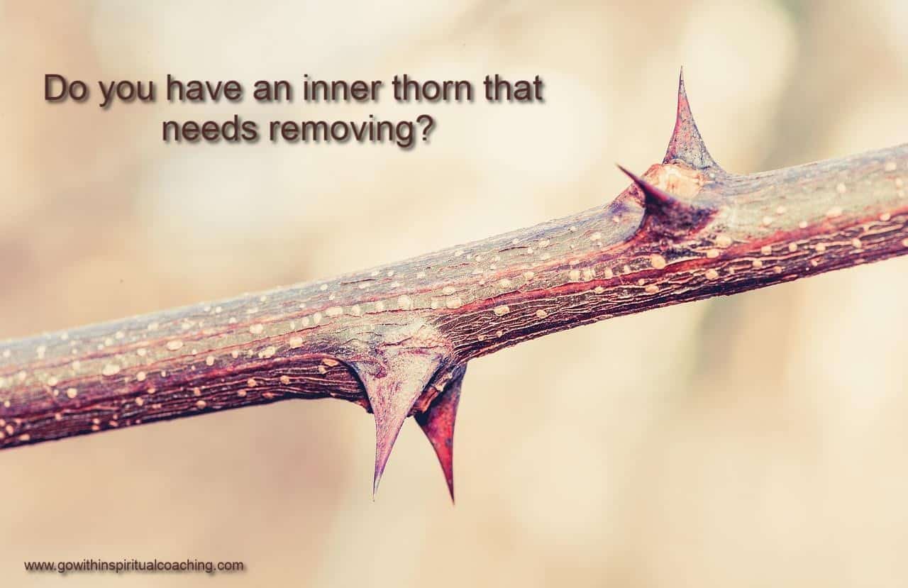 Do You Have an Inner Thorn that Needs Removing?