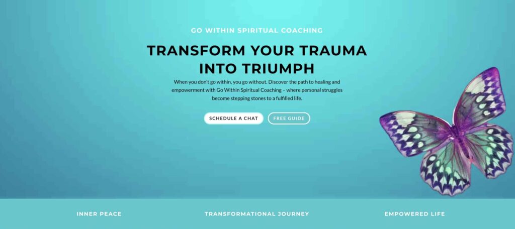 COACHING ESPIRITUAL intelligence overview